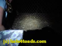/home//u458753944/public_html/sourcegallery//Roxborough Toad Detour/2013-2019/2017/P4110717.JPG